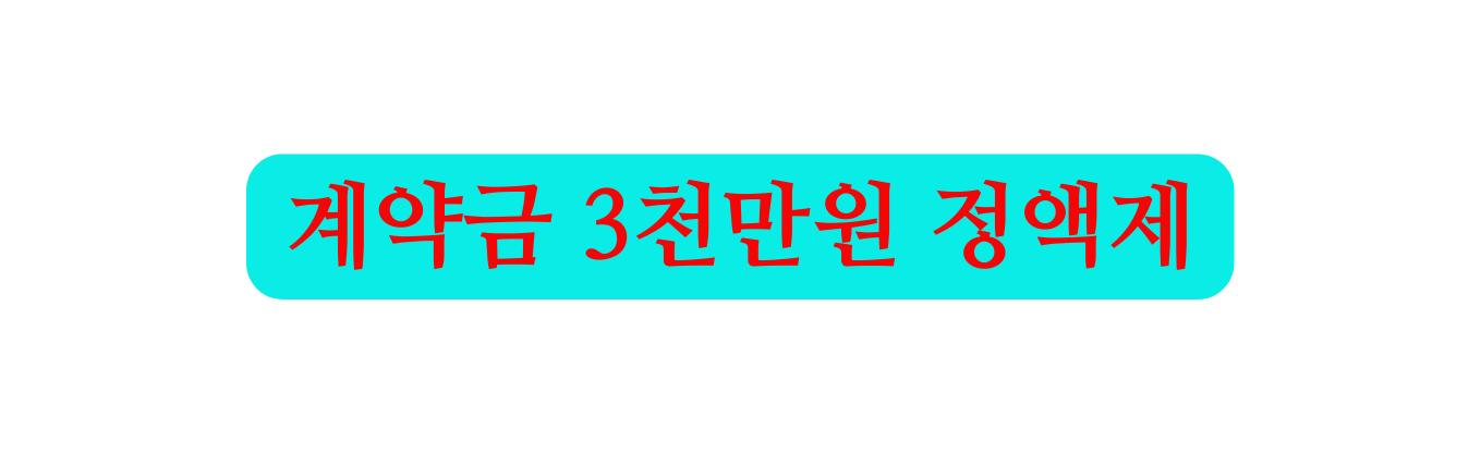 계약금 3천만원 정액제